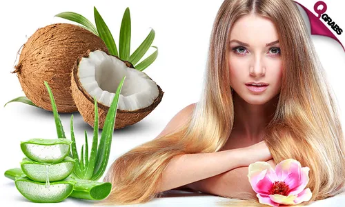 Aloe Vera, Coconut, & Protein Hair Treatments!